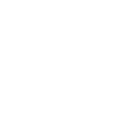 White phone icon which opens phone platform to call the office