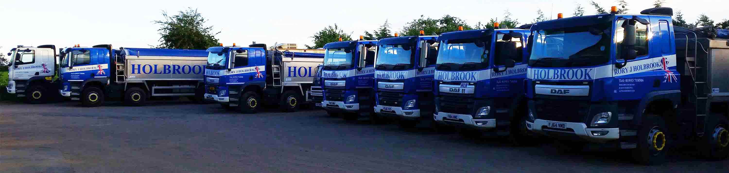 Fleet of tipper lorries in Rory J Holbrook yard